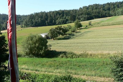 Appartamento Vacanza con famiglia Höchst im Odenwald