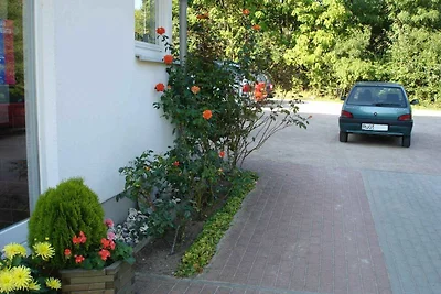 Vakantieappartement Gezinsvakantie Göhren