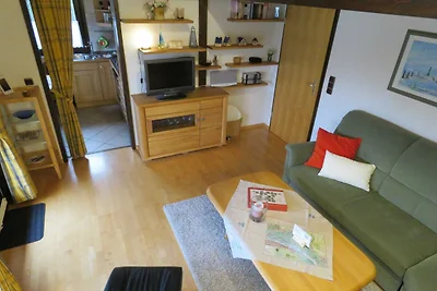 Albergo Cultura ed escursioni Hollern-Twielenfleth