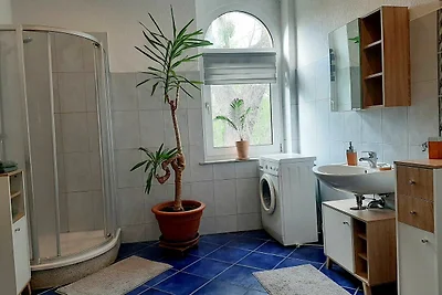 Ferienwohnung am Stadtpark_Rosenblüte