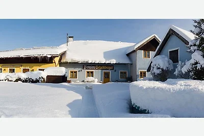 Appartement Vacances avec la famille Mondsee