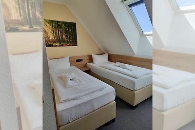 Albergo Cultura ed escursioni Friedrichsbrunn