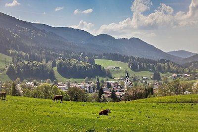 Ferienwohnung Almzeit