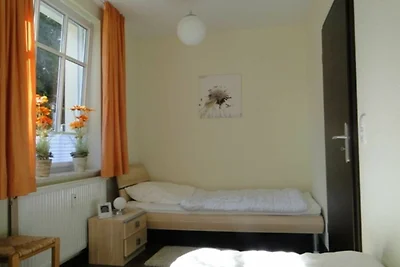 Bucheneck WE 13 SNR: 60