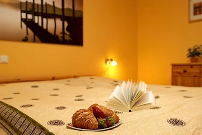 Hotel Cultuur en bezienswaardigheden Trassenheide