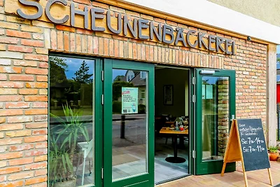 Albergo Cultura ed escursioni Trassenheide