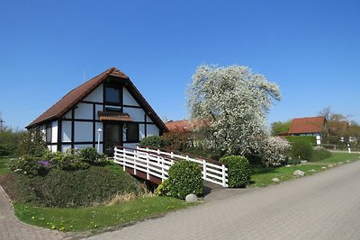 Ferienhaus 193 Deichgraf 86qm für max.