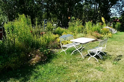 Dornbusch