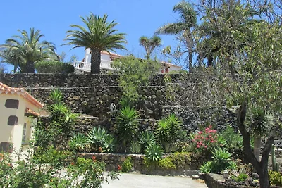 Casa Palmera B