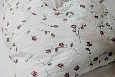 Ferienwohnung Löwenzahn