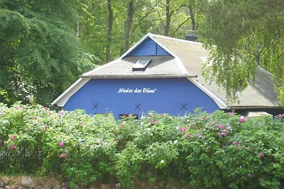 Blaues Strandhaus hinter der Düne - 1. Reihe