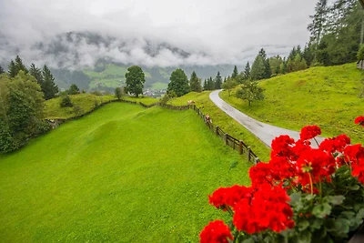 Appartamento Vacanza con famiglia Bad Hofgastein