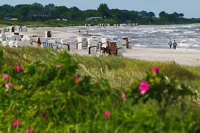 Casa vacanze Vacanza di relax Gelting