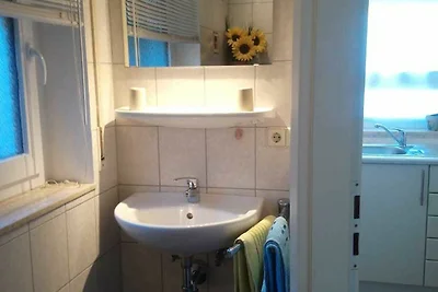 1-Raum-Appartement Bechinger, Dusche/WC, 24 q...
