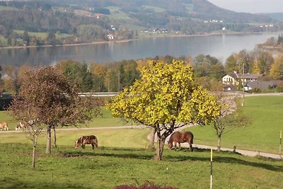Pensjonat Wyjazd romantyczny Mondsee