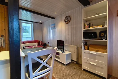 Vakantieappartement Gezinsvakantie Dreschvitz