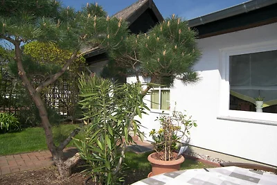 Vakantieappartement Gezinsvakantie Ulrichshorst