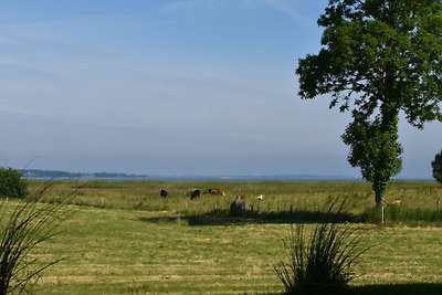 Ferienhaus Mein Ostseeplätzchen am Meer 8