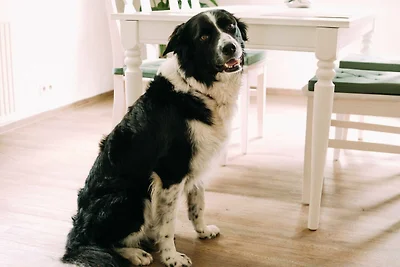 Vakantieappartement Gezinsvakantie Worpswede