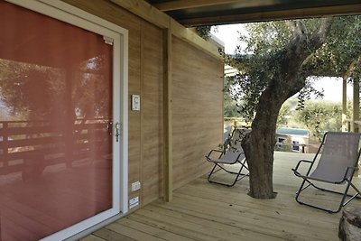 Ferienpark della Colombaia - Mobilehome Top H...