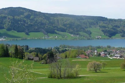apartman za odmor Obiteljski odmor Zell am Moos