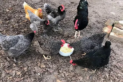 Appartamento Vacanza con famiglia Märkische Heide