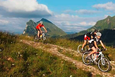 Appartamento Vacanza con famiglia Schnepfau