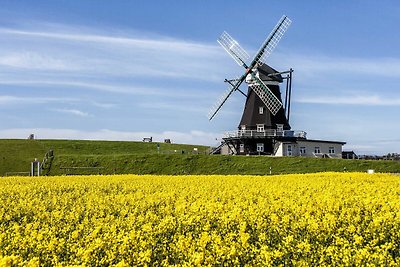 Hotel Cultuur en bezienswaardigheden Pellworm