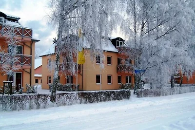 Albergo Cultura ed escursioni Ückeritz