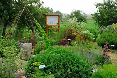 Vakantieappartement Gezinsvakantie Schmiedeberg