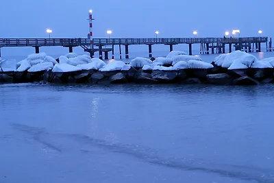 Ferienhof am Fischland FW Darsser Ort