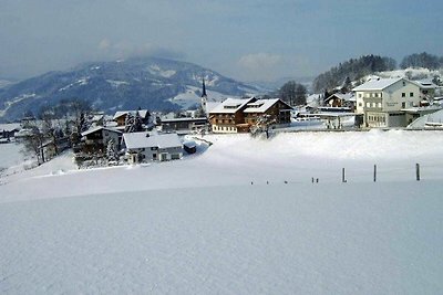 Albergo Cultura ed escursioni Lingenau