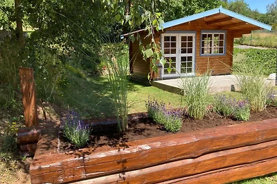 Vakantieappartement Gezinsvakantie Bad Sachsa