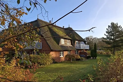 Haus Wattläufer Whg 04