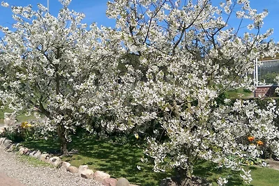 Feldblick, Fewo 25 m²