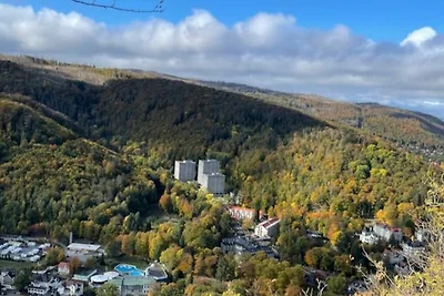 Vakantieappartement Gezinsvakantie Bad Harzburg