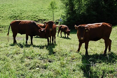 Vakantieappartement Gezinsvakantie Clausthal-Zellerfeld