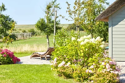 Vakantiehuis Ontspannende vakantie Oldsum