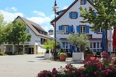 Appartamento Vacanza con famiglia Ringsheim
