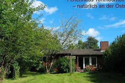 Ferienhaus Torfmoorholm