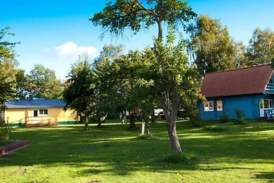 Casa vacanze Vacanza di relax Saal in Vorpommern