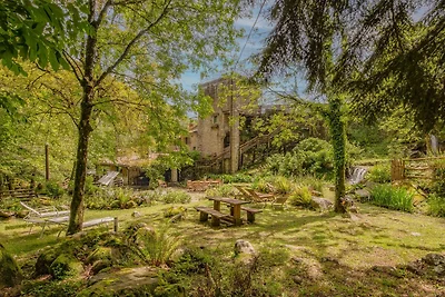 Casa nel Bosco