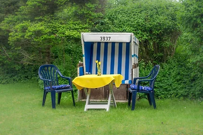 2-Zimmerwohnung Nr. 1 Süderstr. 35