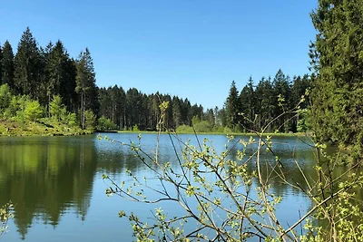 Vakantieappartement Gezinsvakantie Hahnenklee