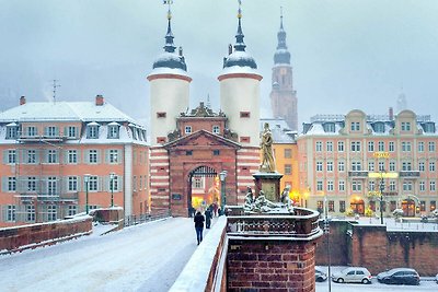 Vakantieappartement Gezinsvakantie Heidelberg