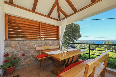 Vakantiehuis Ontspannende vakantie Starigrad
