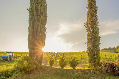 Vakantiehuis Ontspannende vakantie Siena