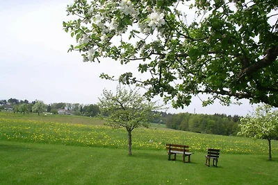 Albergo Cultura ed escursioni Erbach im Odenwald
