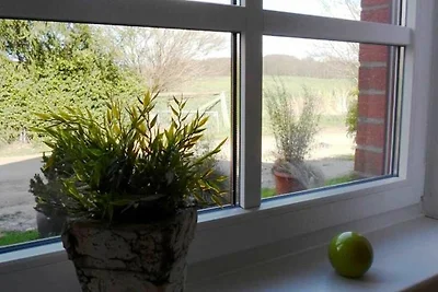 Holiday home relaxing holiday Feldberger Seenlandschaft