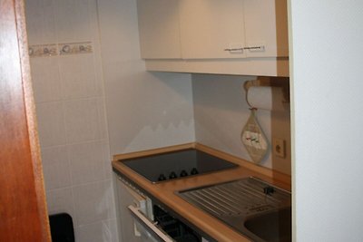 Katzenfreundliche Ferienwohnung